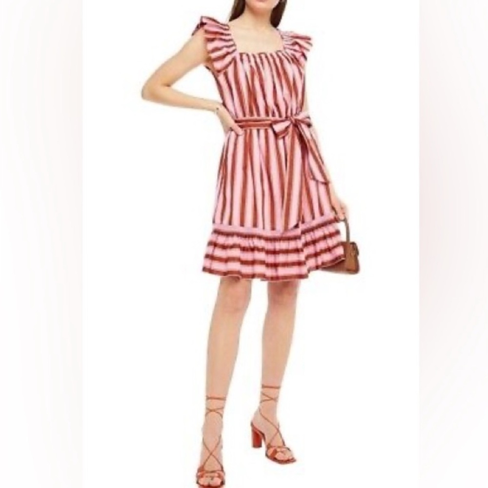 kate spade Pink and Brown Striped Ruffle Mini Dress